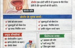 50 की उम्र के पुरुष रहे सावधान ! Prostate Health in Hindi: प्रोस्टेट क्या है, लक्षण, कारण और बचाव के उपाय