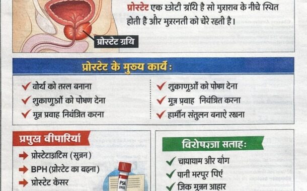 50 की उम्र के पुरुष रहे सावधान ! Prostate Health in Hindi: प्रोस्टेट क्या है, लक्षण, कारण और बचाव के उपाय